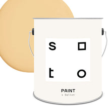 Load image into Gallery viewer, Premium All-In-One House Paint
