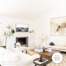 Load image into Gallery viewer, Premium All-In-One House Paint
