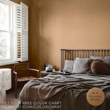 Load image into Gallery viewer, Premium All-In-One House Paint
