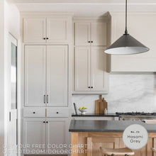 Load image into Gallery viewer, Premium All-In-One House Paint
