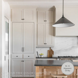 Premium All-In-One House Paint
