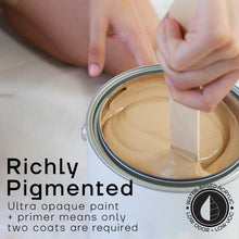 Load image into Gallery viewer, Premium All-In-One House Paint
