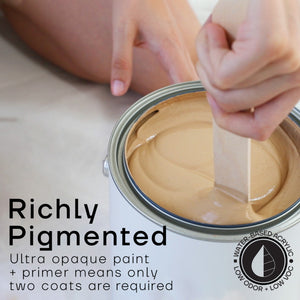 Premium All-In-One House Paint