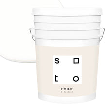 Load image into Gallery viewer, Premium All-In-One House Paint
