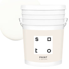 Load image into Gallery viewer, Premium All-In-One House Paint
