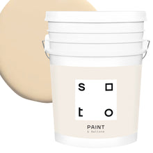 Load image into Gallery viewer, Premium All-In-One House Paint

