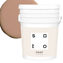 Load image into Gallery viewer, Premium All-In-One House Paint
