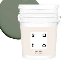 Load image into Gallery viewer, Premium All-In-One House Paint
