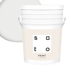 Load image into Gallery viewer, Premium All-In-One House Paint
